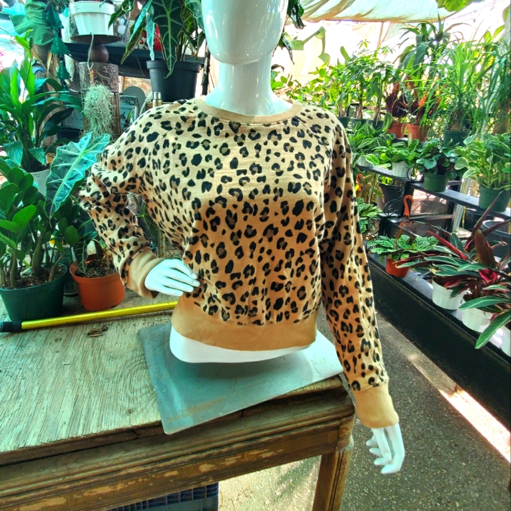 J Crew Leopard Sweatshirt